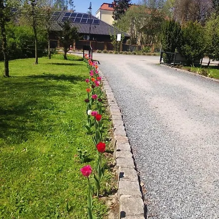 Pod Gwiazdami&spa Kudowa-Zdrój